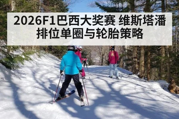 2026F1巴西大奖赛 维斯塔潘排位单圈与轮胎策略